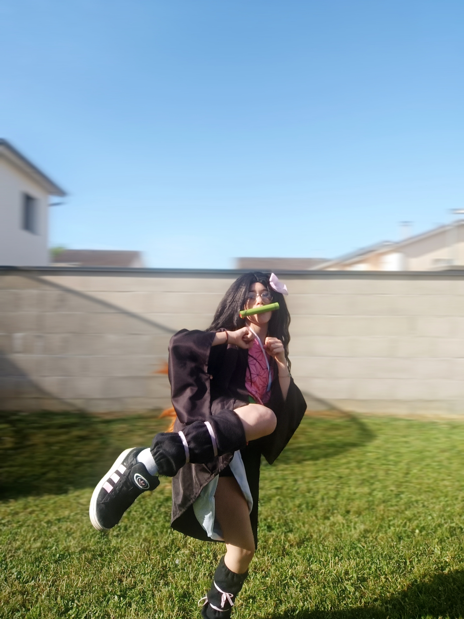 Nezuko — photo 5