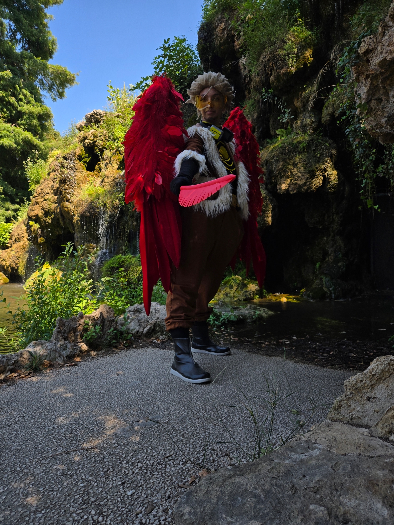 Hawks, photo 13