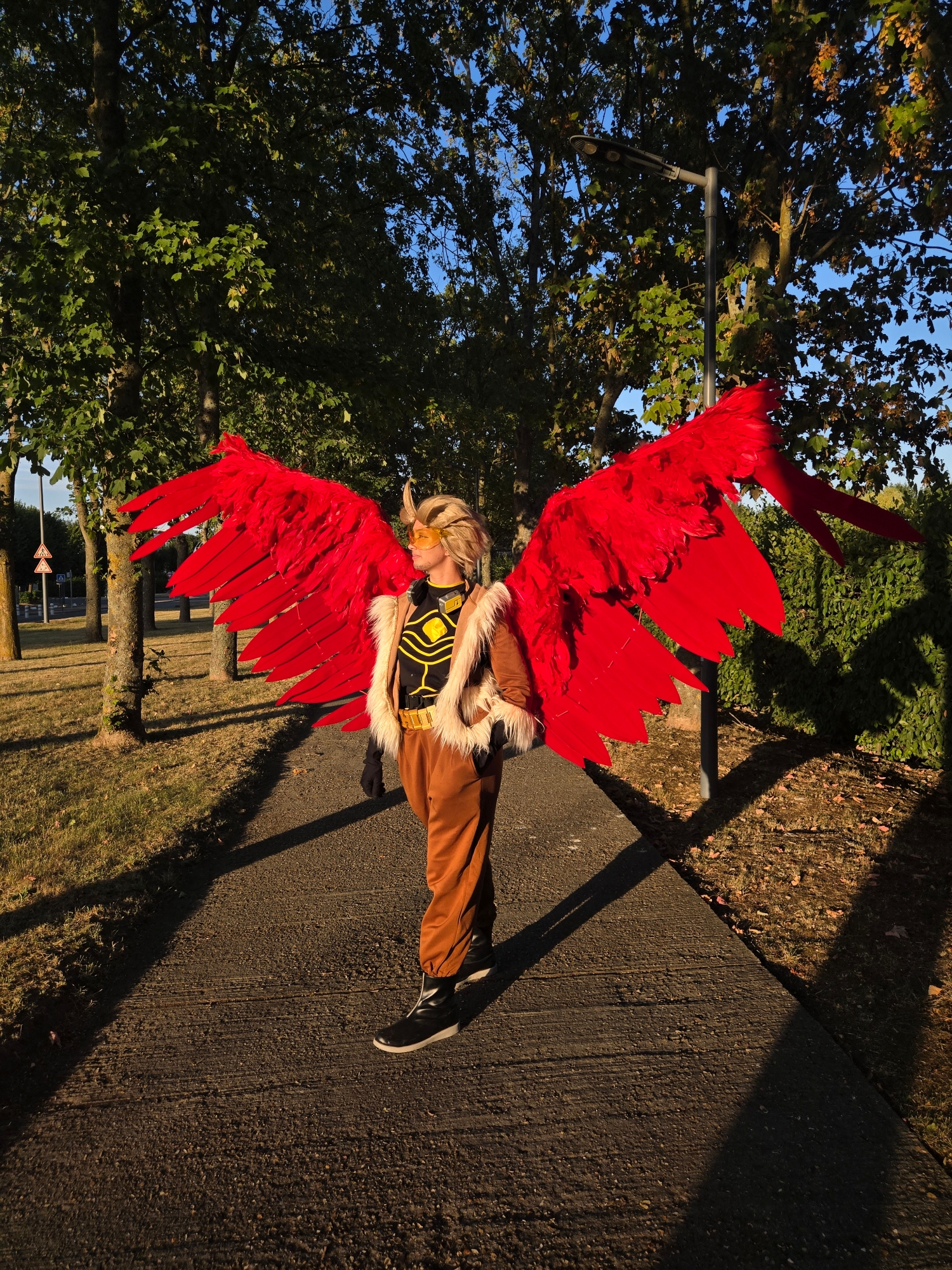 Hawks — photo 20