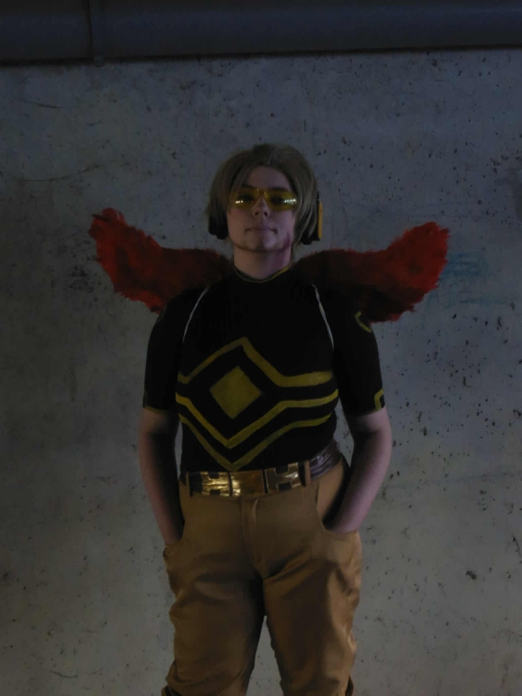 Hawks — photo 5