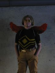 Hawks preview 3