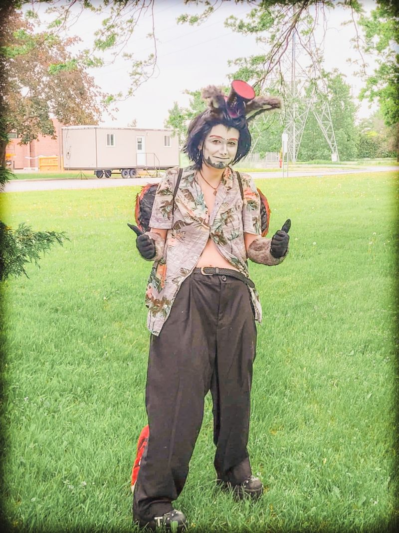 Pangofan – Summer Husk