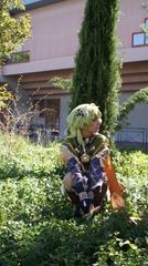 Collei preview 3