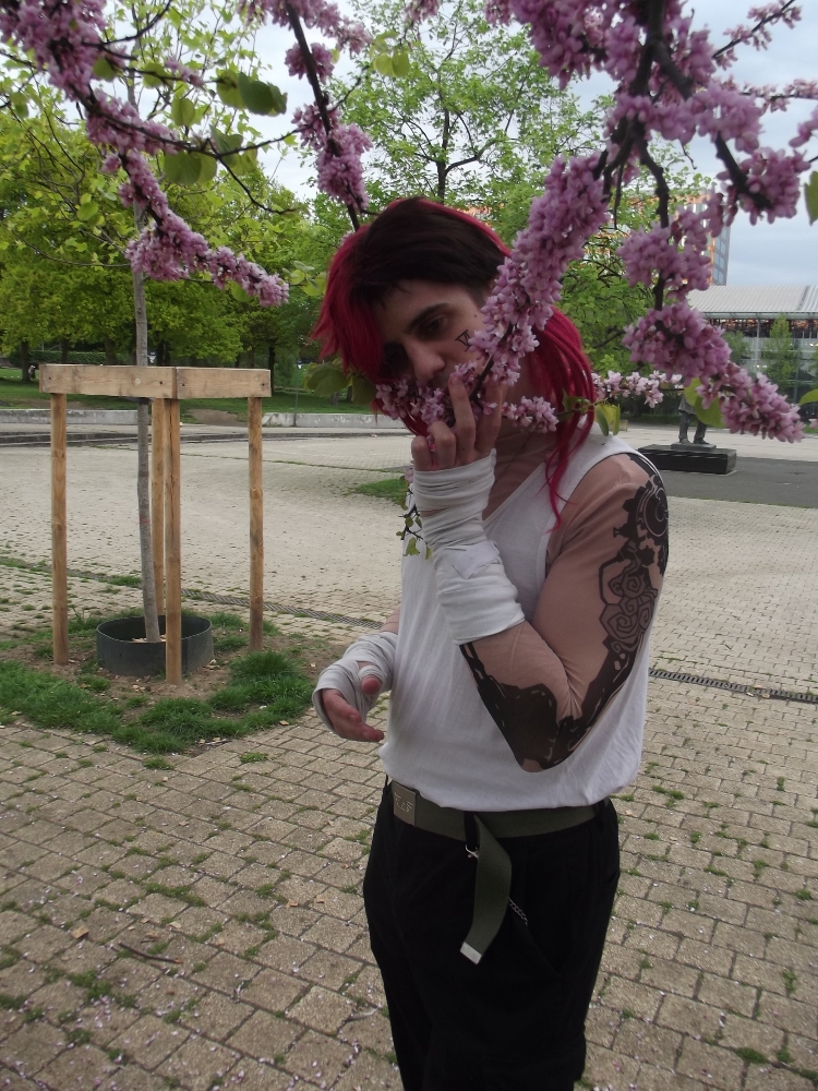 VI Arcane moderne — photo 15
