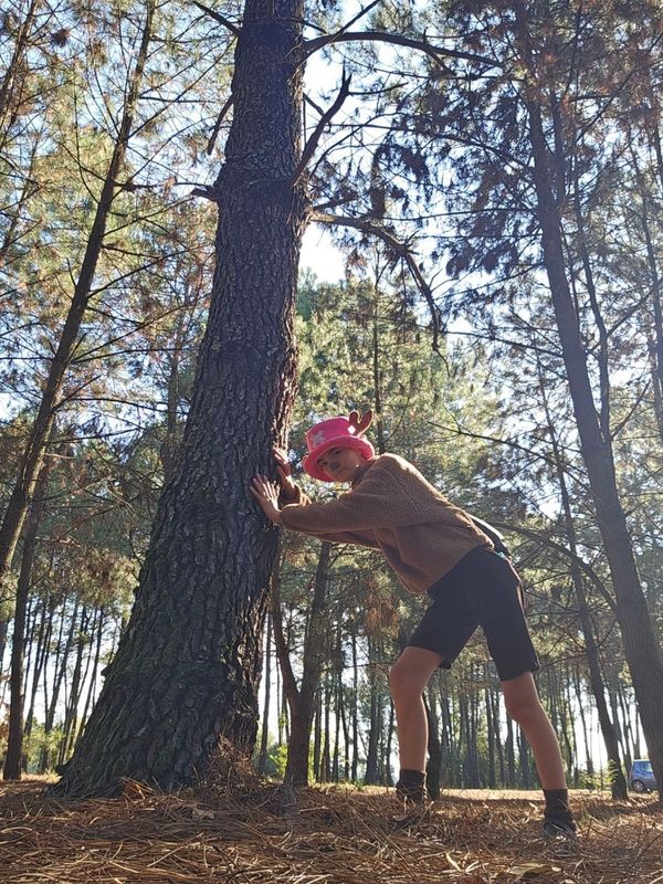 Dodie – Tony Tony Chopper