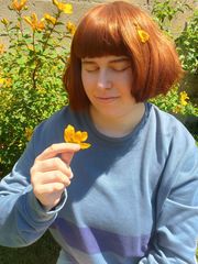 Frisk preview 2