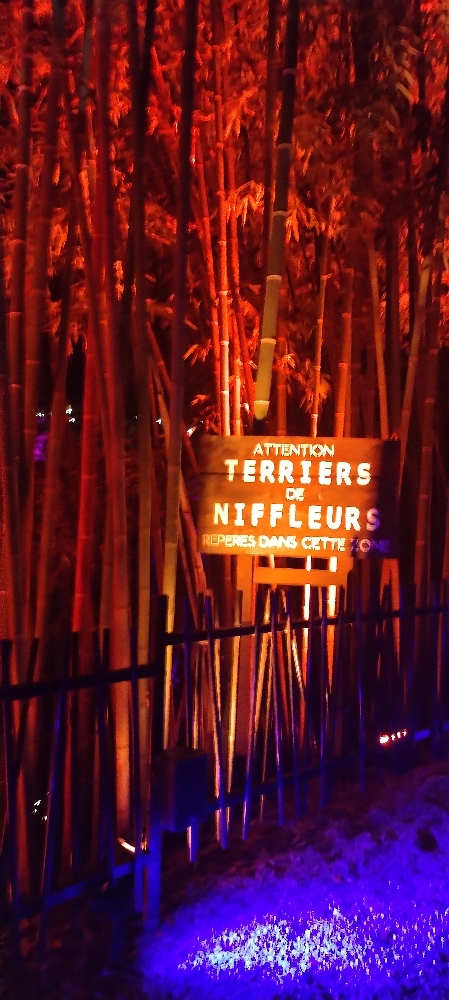 La forêt interdite - Photo 8