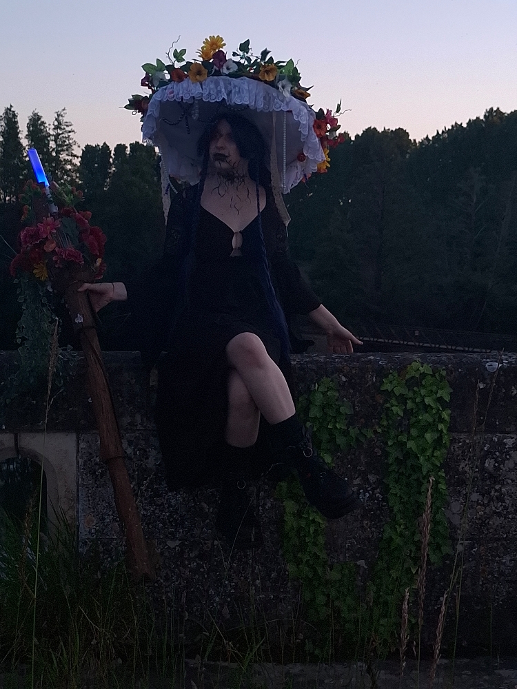 Aerys de Kaosrya - Photo 5