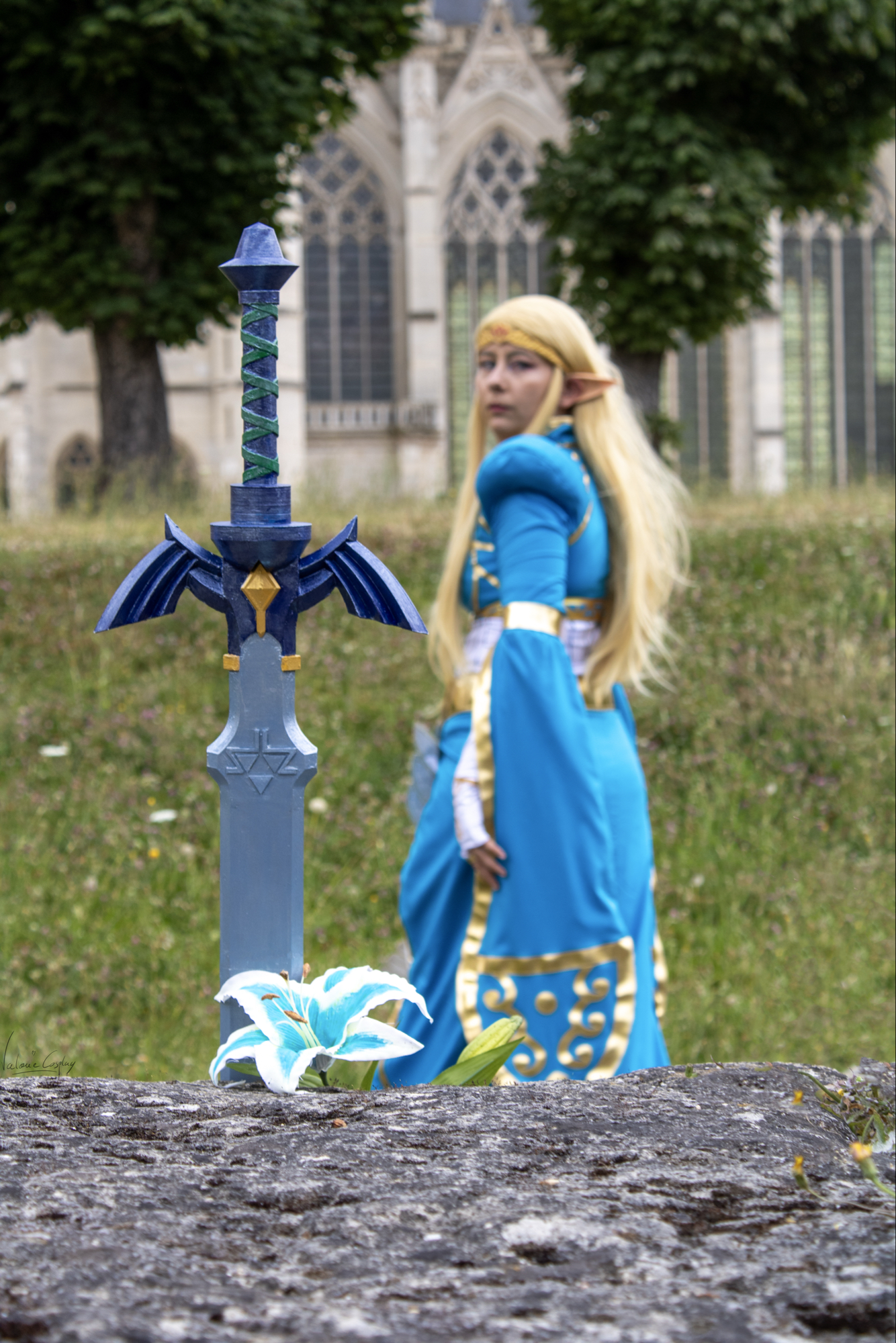 Zelda — photo 5