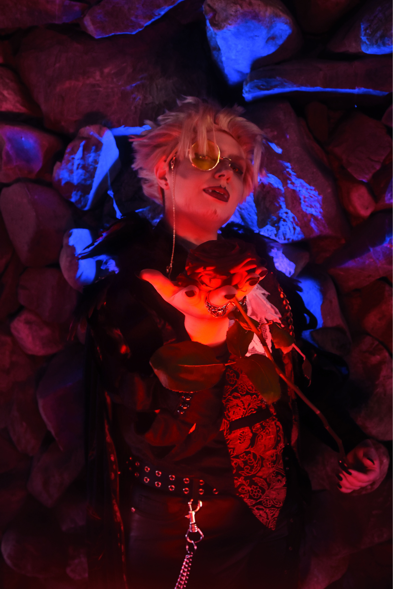 Vampire Hawks, photo 9