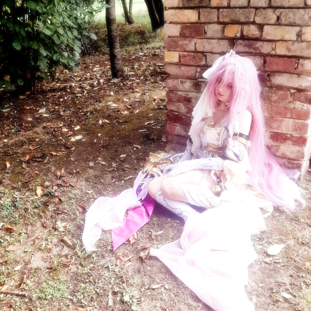 Elysia (Bailleul) - Photo 9