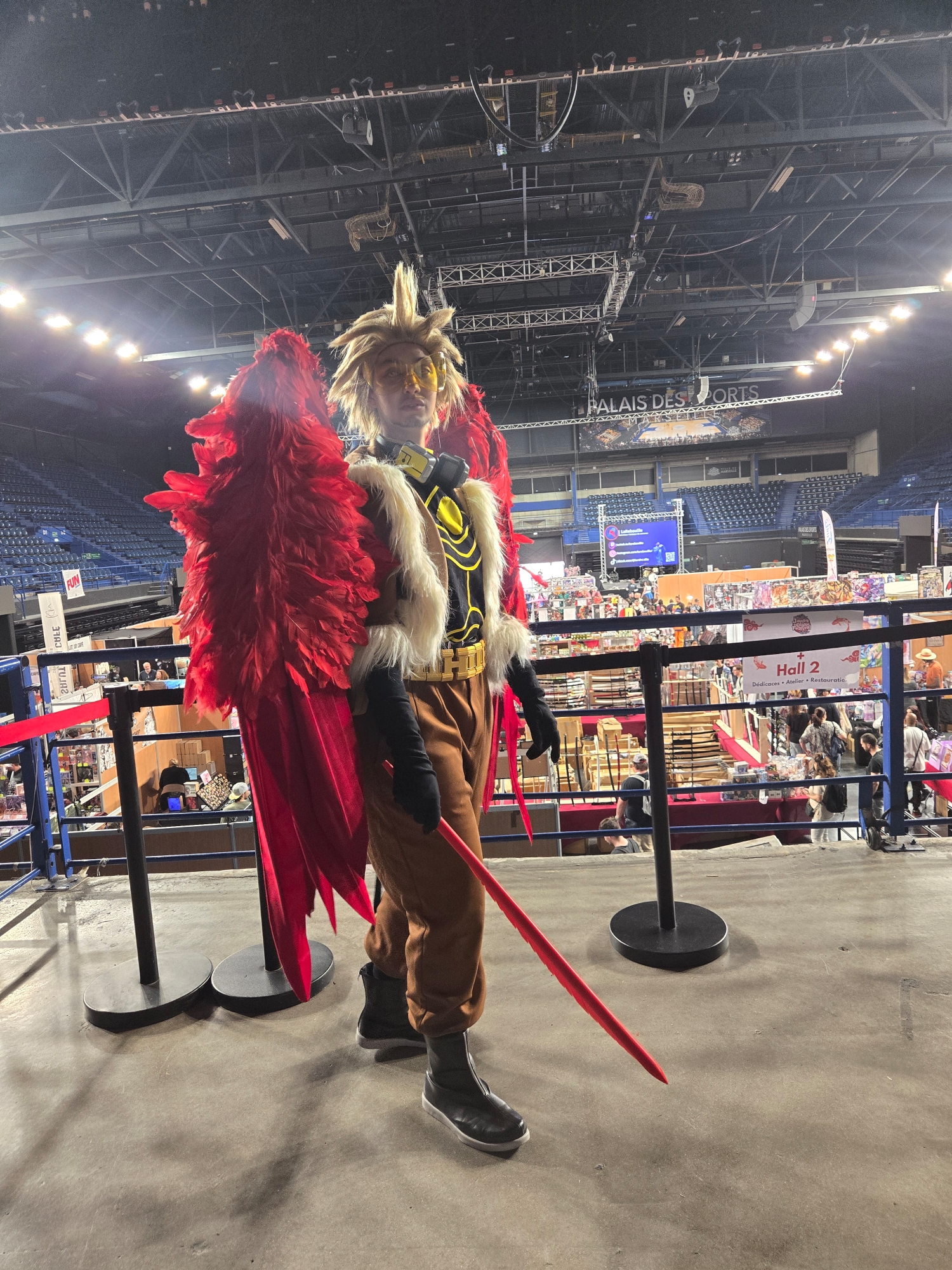 Hawks — photo 39