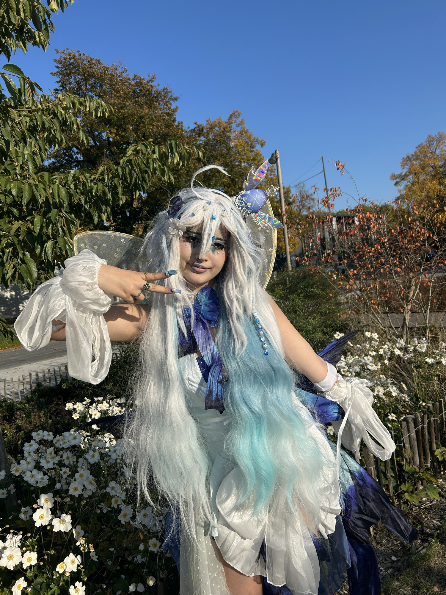 Miku butterfly — photo 6
