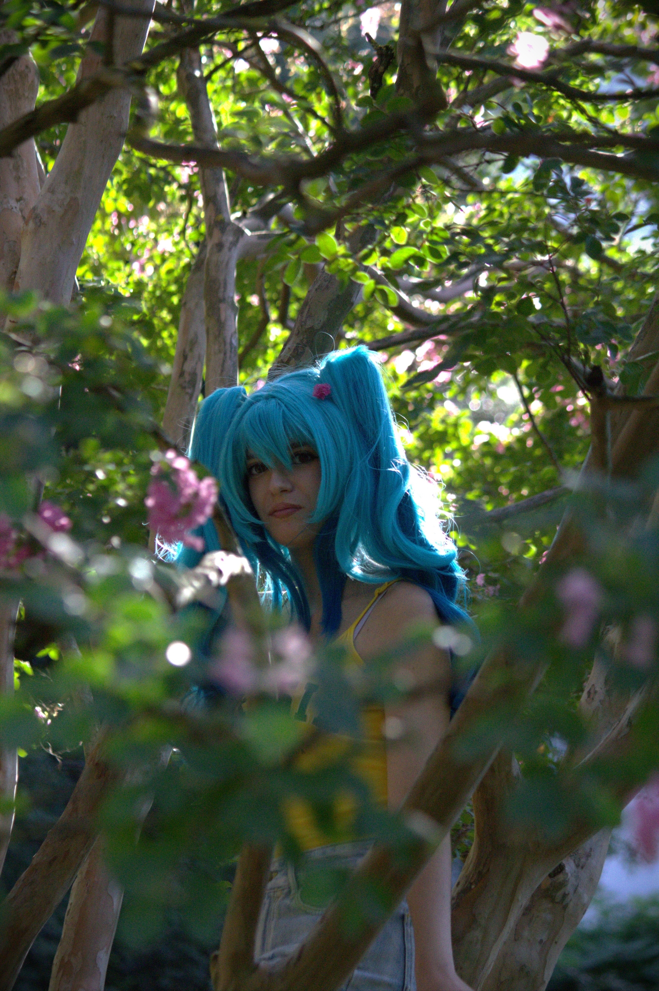 Hatsune Miku Brésil, photo 14
