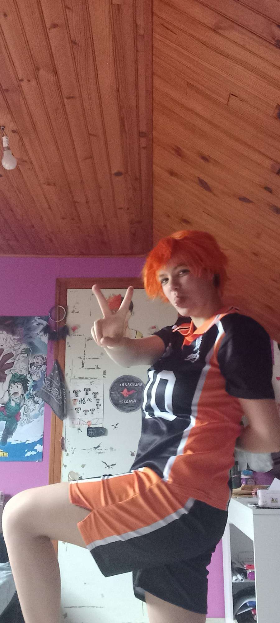 Hinata Shoyo — photo 7