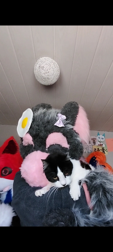 Chaloupinge&Rød Ulva