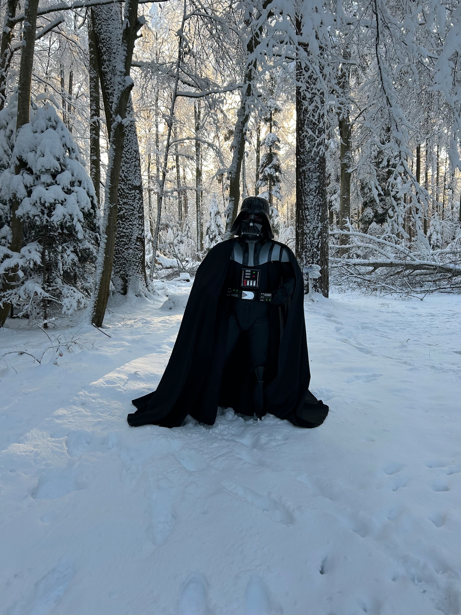 Snow Vader — photo 22