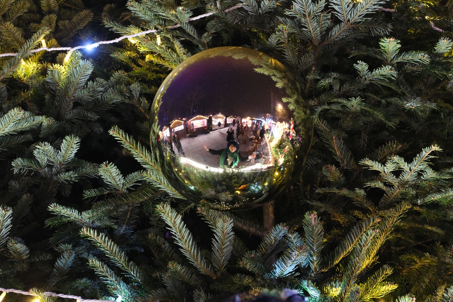 Venti Noël  - Photo 34