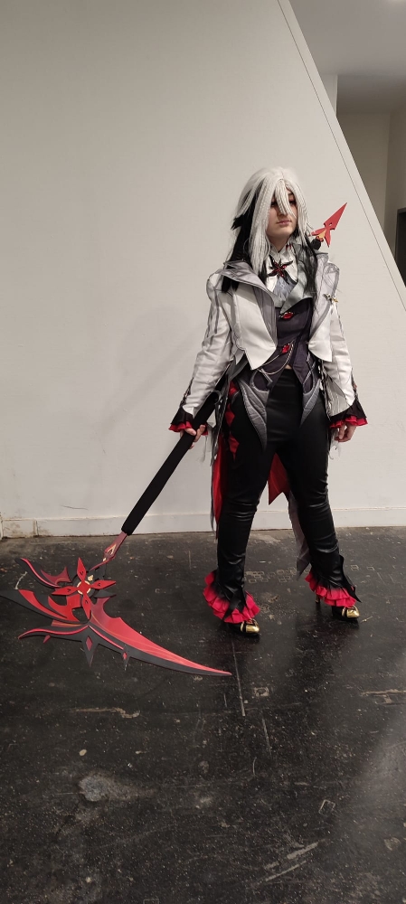 Arlecchino - Photo 44