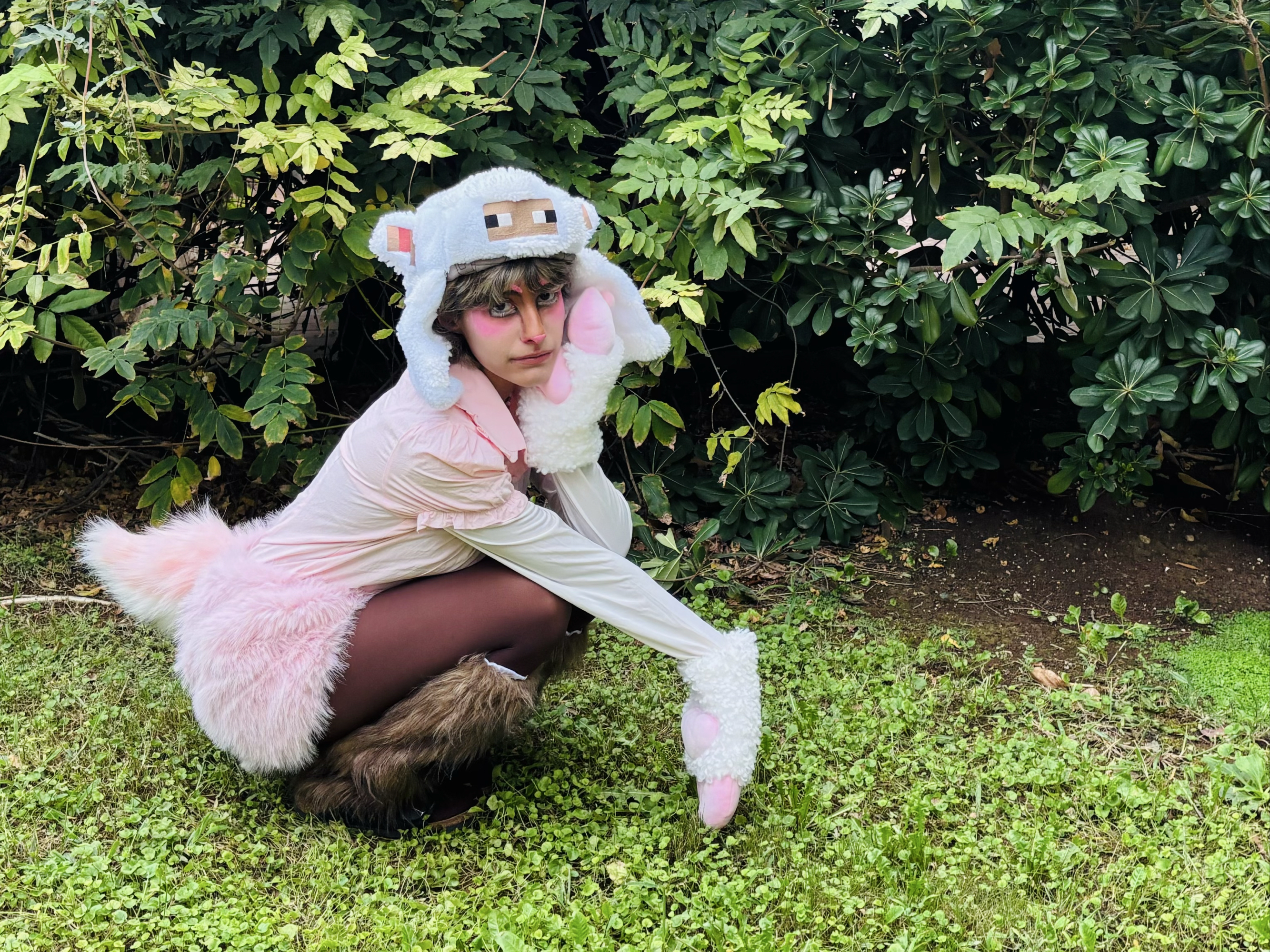 pink sheep — photo 5