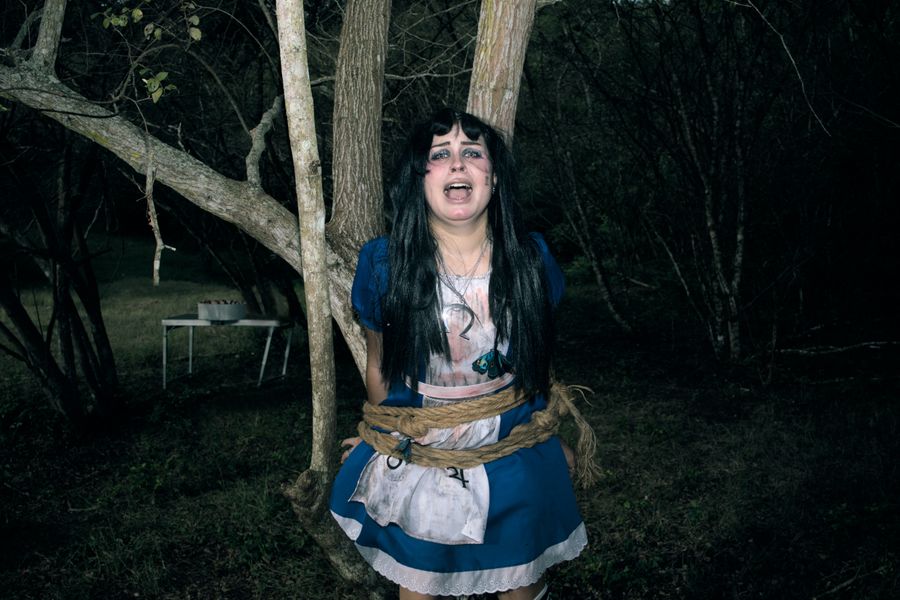 Vasaria - Alice Lidle 