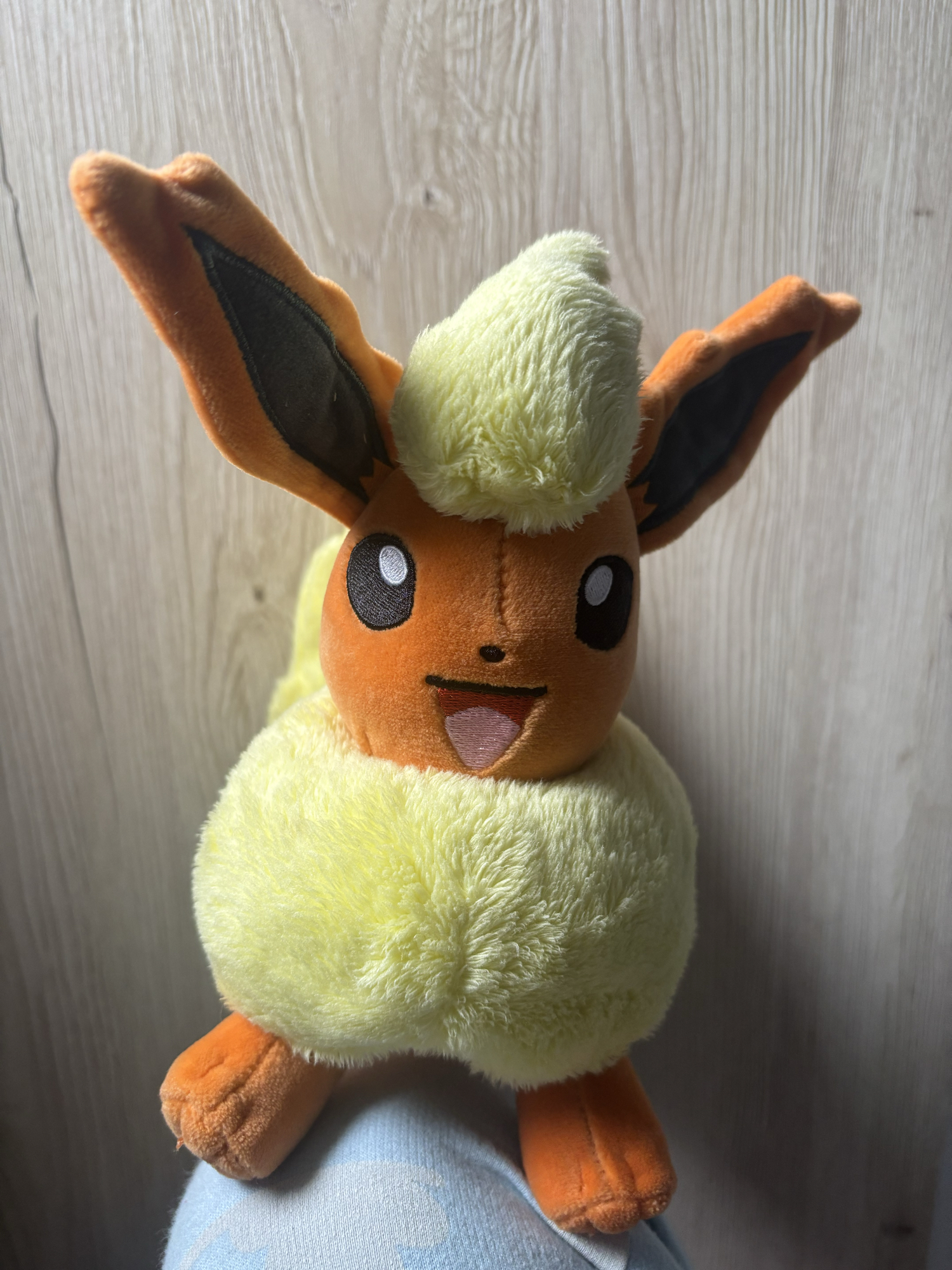 Evoli en Pyroli  - Photo 14