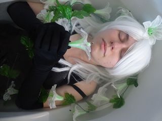 A2 preview 2