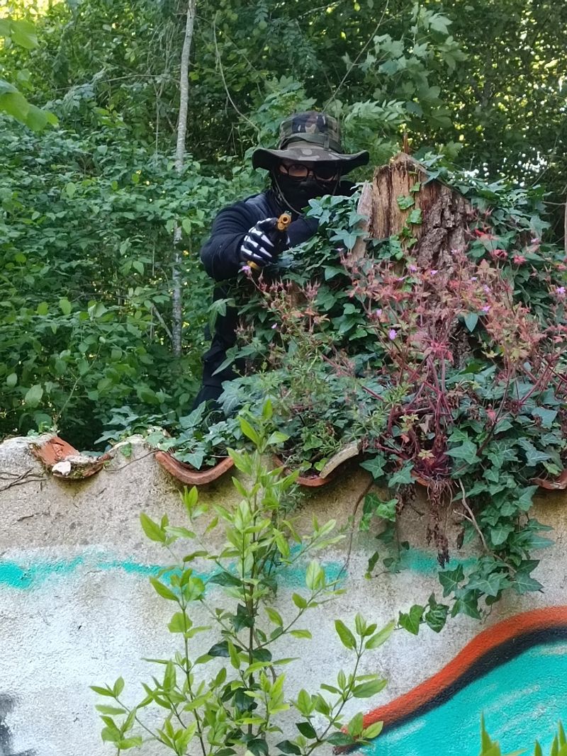 Lecolibri_ – HAVOC 