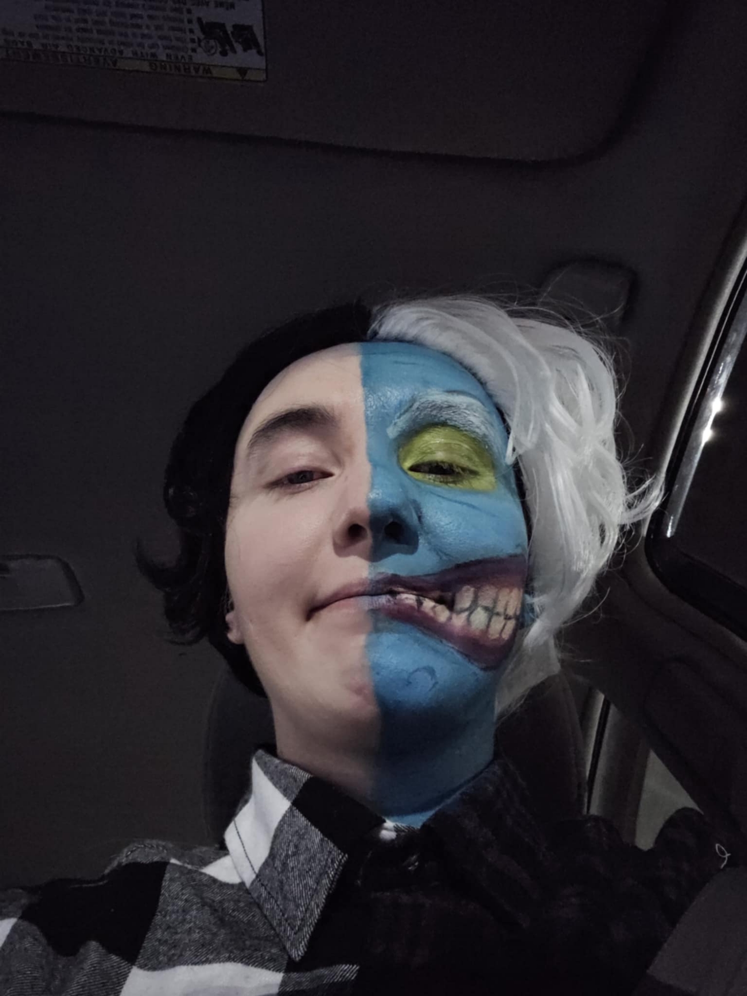 Two-Face, photo 6