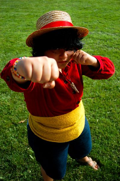 Sebassssstien_ - Luffy