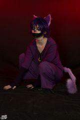 Catnap preview 3