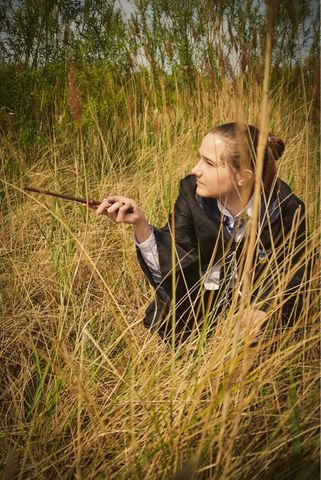Ravenclaw/Serdaigle