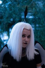 Lute preview 2
