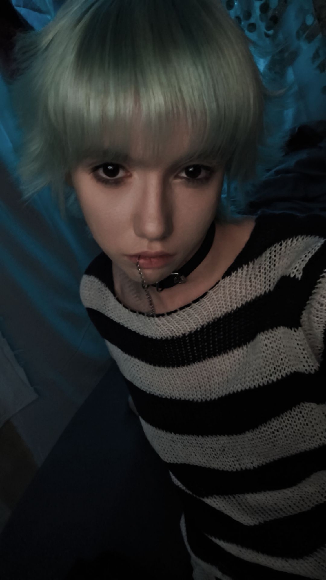 Shin — photo 9