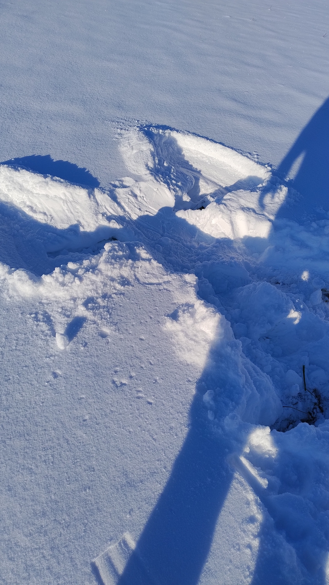 Général adam - Photo 17