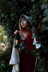 Petit chaperon rouge preview 3