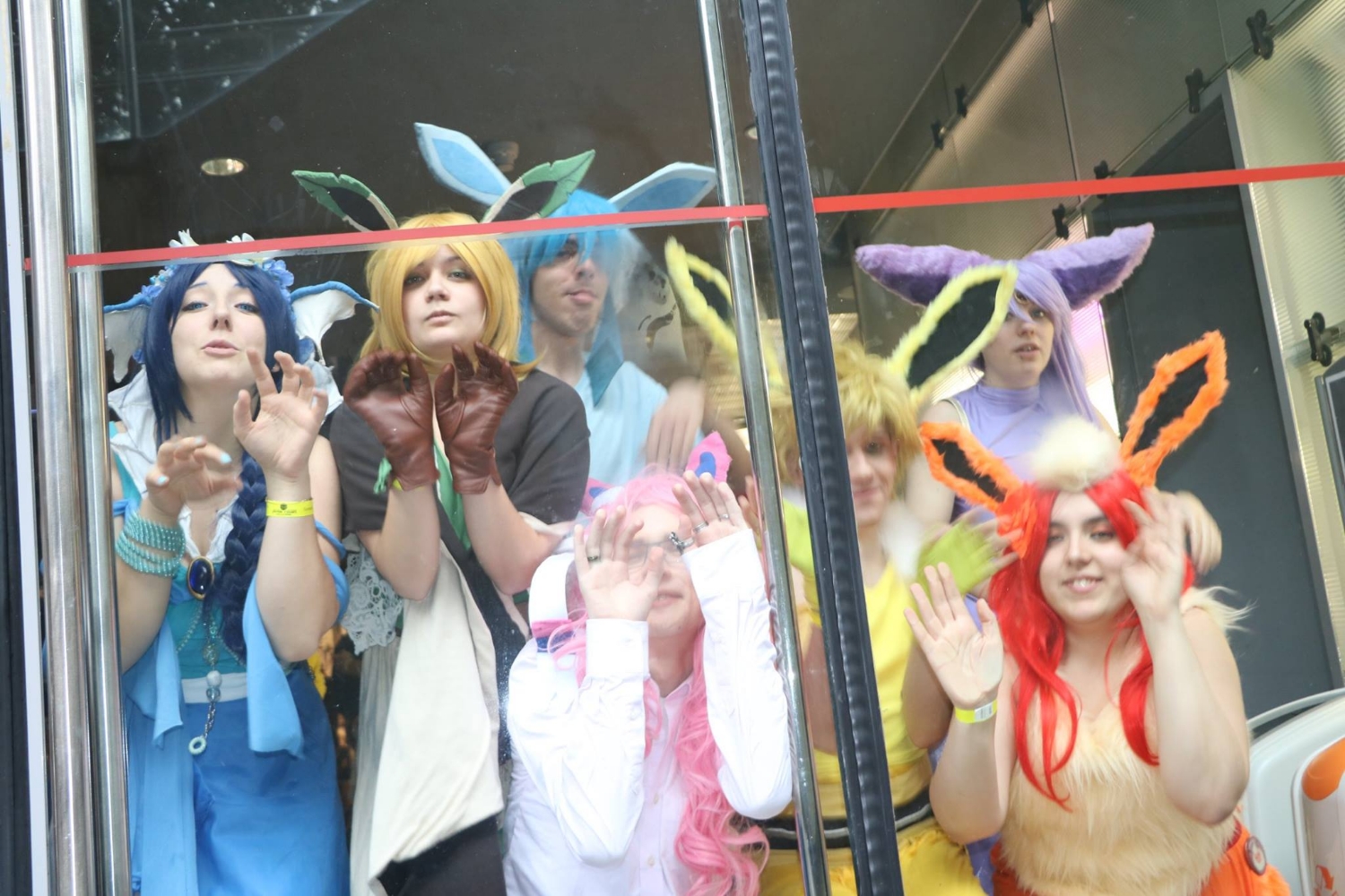 Famille Evoli - Photo 6