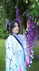 Shinobu preview 2