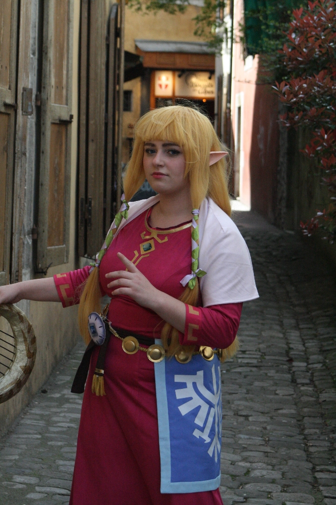 Zelda Skyward Sword — photo 11