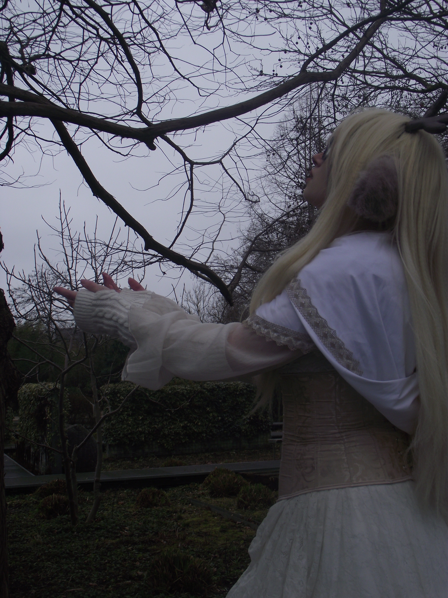 Noelle — photo 18