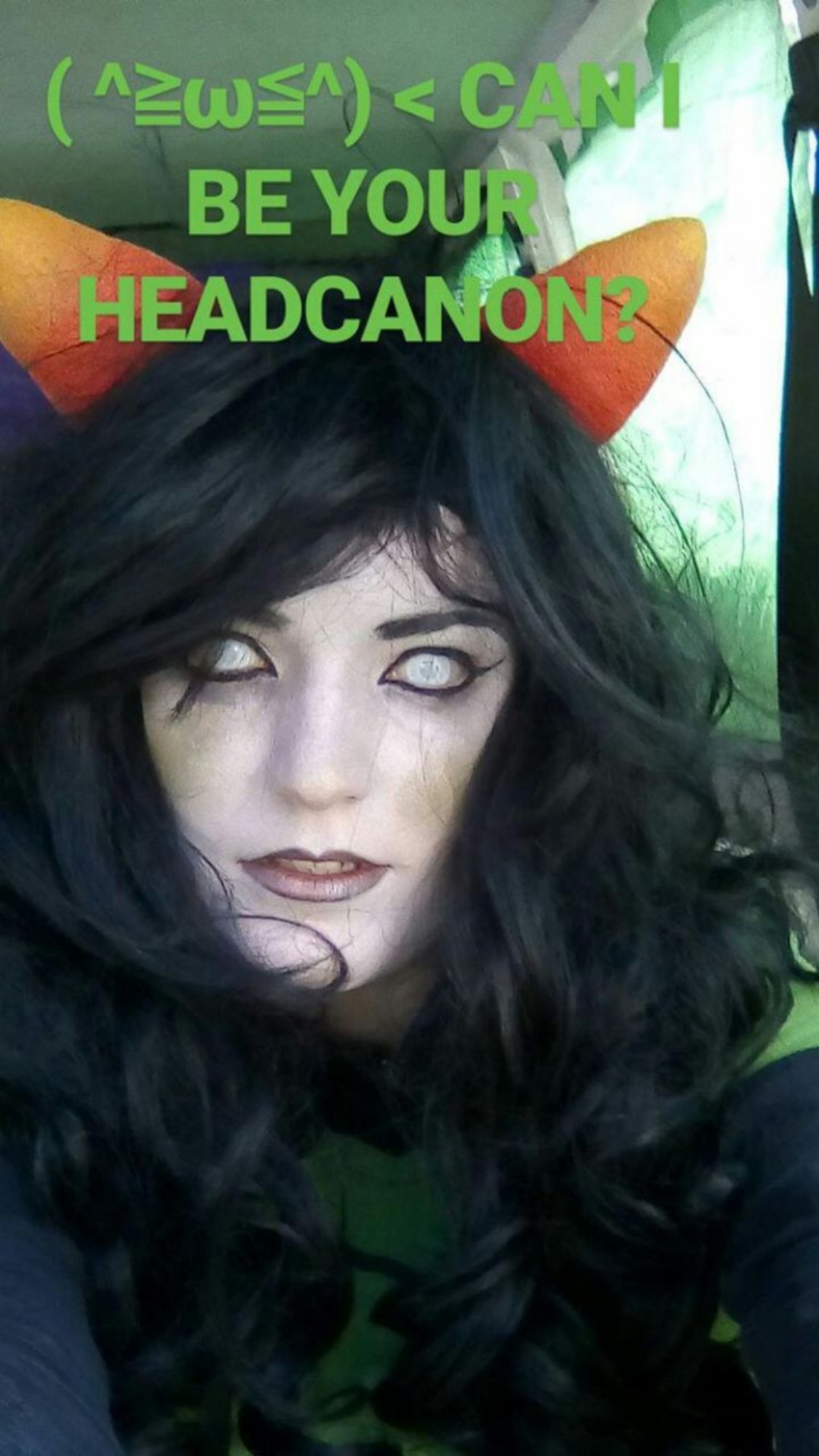 Meulin Leijon — photo 24