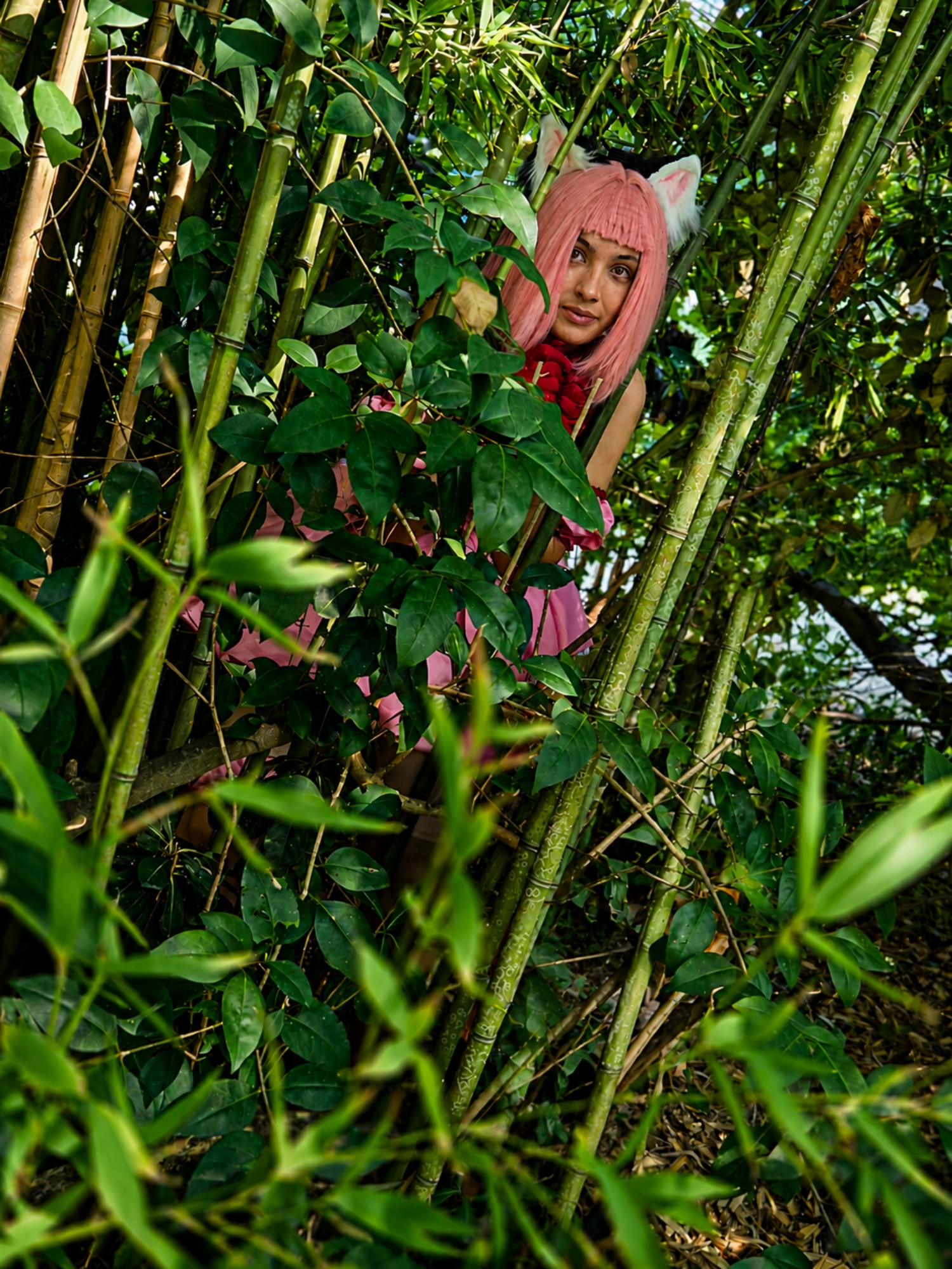 Ichigo, photo 31