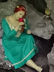 Fiona (shrek) preview 3