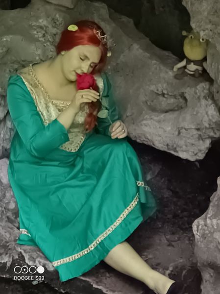 Morgane_arcaera_ - Fiona (shrek)