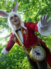 Lapin blanc d'Alice preview 2