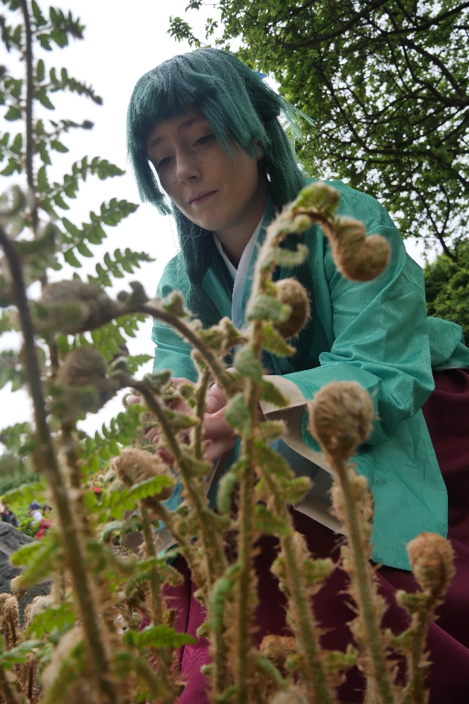 Mao  (Japan-party) - Photo 28