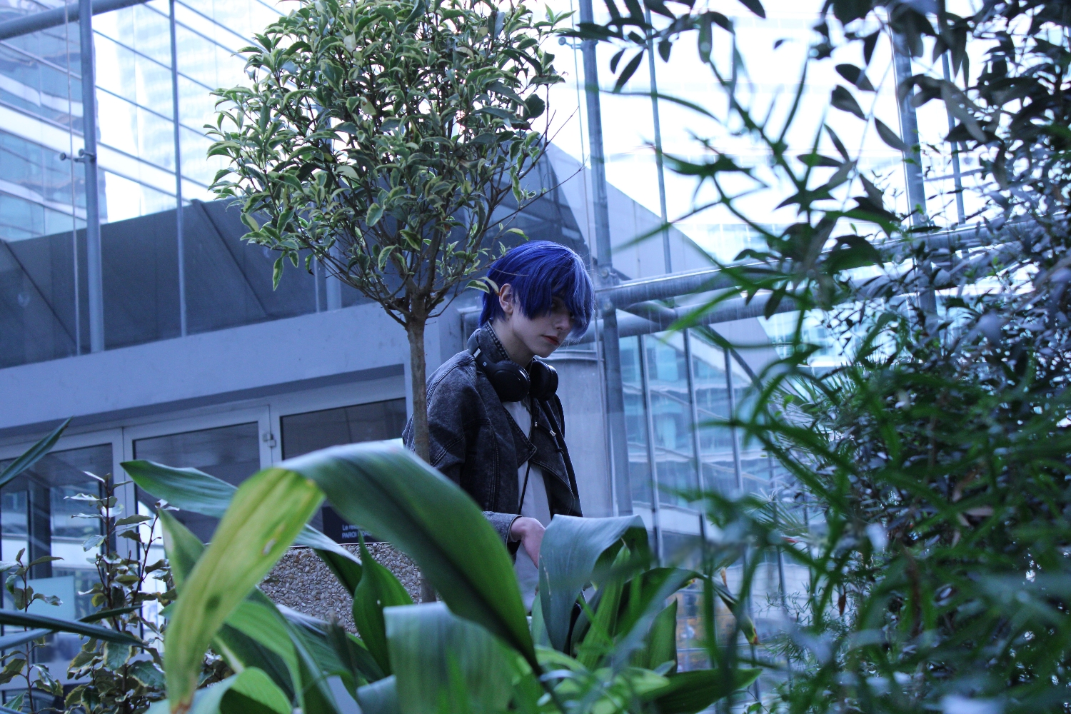 Toya — photo 7