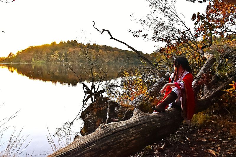 Light – San Lang Forest 2023