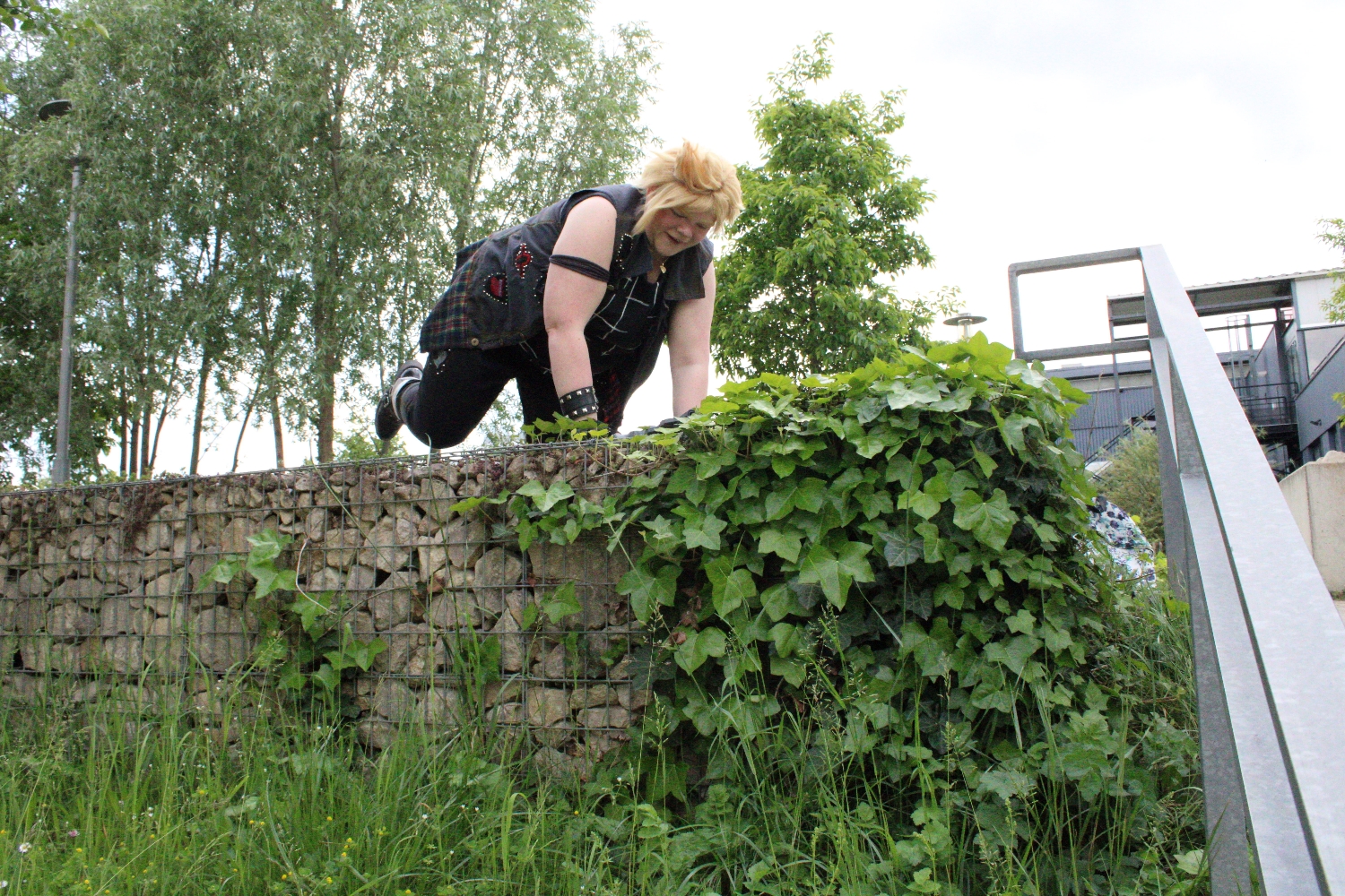 Prompto argentum  - Photo 29