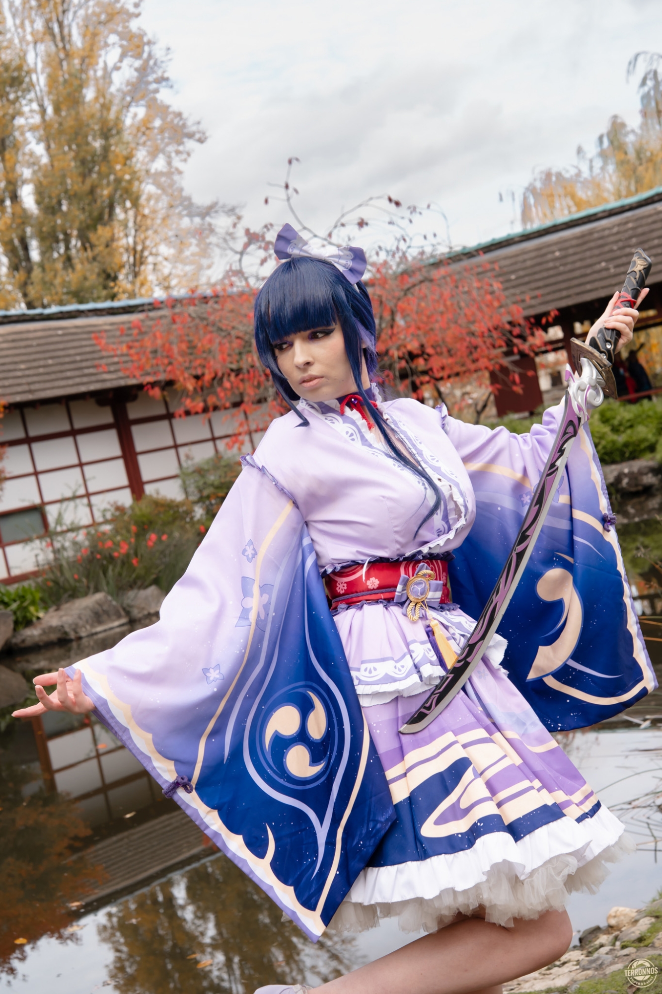 Raiden Shogun - Photo 7